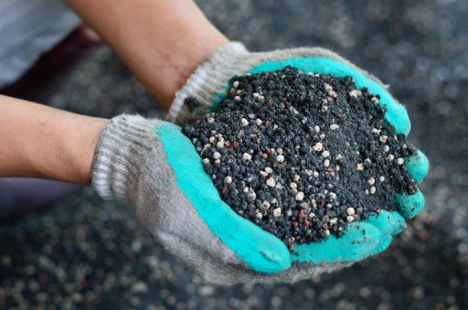 How to check fertilizer: organic and mineral