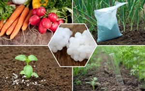 Organic Nitrogen Fertilizers
