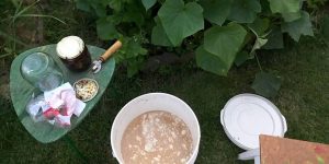 Fertilizer for the cucumbers