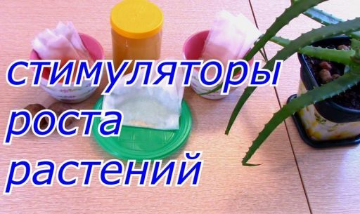 Что такое стимулятор роста растений: обзор