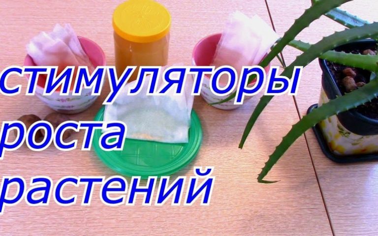 Что такое стимулятор роста растений: обзор